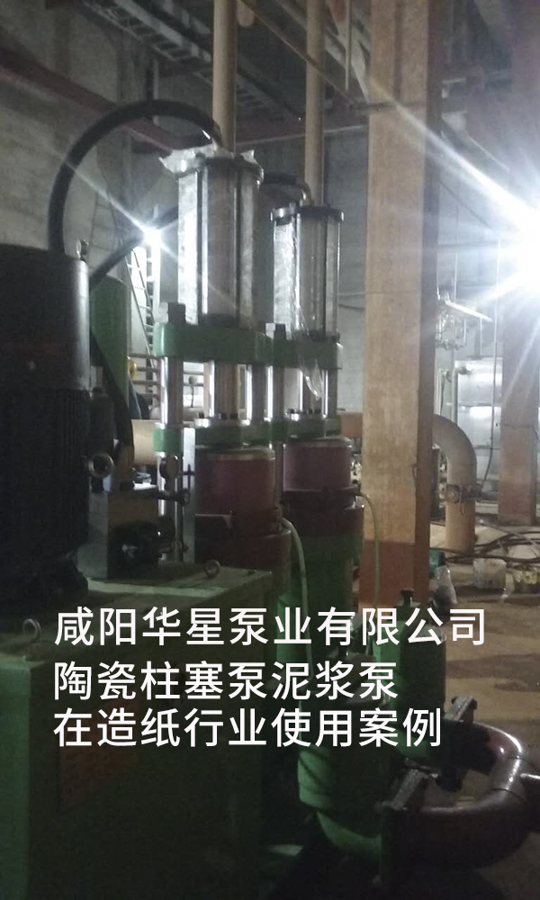 在造紙廠廢水處理中，使用柱塞泵好還是渣漿泵好?